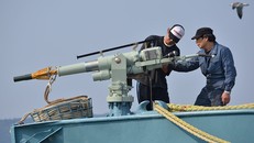 Ngư dân Nhật Bản sử dụng súng phóng lao để săn bắt cá voi. Ảnh: Sputnik