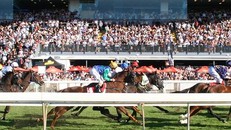 Chính phủ đồng ý cho Hà Nội xây trường đua ngựa có cá cược