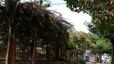 Thành phố Pleiku hoàn thành chương trình nông thôn mới