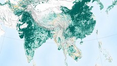 Độ phủ xanh của Trái đất do NASA công bố. Ảnh: CNN