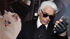 Chú mèo 'giàu nhất thế giới' được hưởng lợi như thế nào?