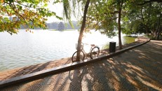 Thời tiết ngày 20/3: Bắc Bộ sáng sớm mưa, ngày hửng nắng