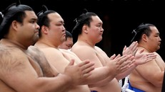 Bí quyết để các đô vật sumo không mắc các triệu chứng béo phì