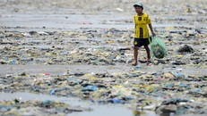 Em bé mưu sinh trên rác tại Bình Thuận. Ảnh: TTXVN