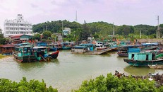 Tàu thuyền neo đậu tránh bão số 2 tại Cẩm Phả (Quảng Ninh). Ảnh: VietNamNet