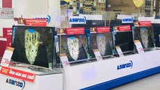 Asanzo phản đối các nhà bán lẻ thu hồi sản phẩm tivi