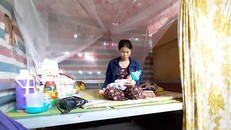 Cô Đỗ Kim The. Ảnh: Tiền Phong