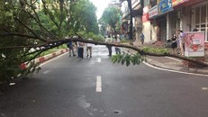 Hiện trường vụ tai nạn. Ảnh: Vietnamplus