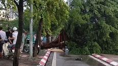 Hiện trường vụ tai nạn. Ảnh: VOV