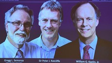 Giải Nobel Y Sinh 2019 vinh danh 3 nhà khoa học nghiên cứu tế bào