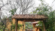Homestay: Lời giải cho bài toán 'dừng chân' thưởng ngoạn cao nguyên đá Đồng Văn