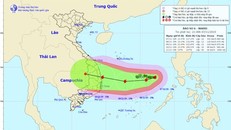 Bão Nakri đổ bộ vào bờ biển Nam Trung Bộ tối ngày 10/11