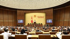 Kỳ họp thứ 8, Quốc hội khóa XIV: Thủ tướng Chính phủ làm rõ các vấn đề liên quan và trả lời chất vấn