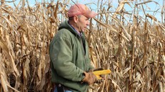 Ông Trump tuyên bố trợ cấp tiền cho nông dân trước Lễ Tạ ơn