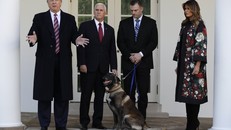 Ông Trump trao huân chương cho quân khuyển truy đuổi trùm khủng bố IS