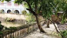 Hiện trường nơi phát hiện thi thể ông P. Ảnh: Dân trí