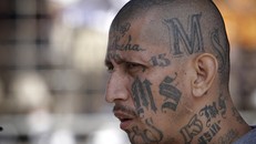 New York triệt phá băng đảng khét tiếng MS-13 