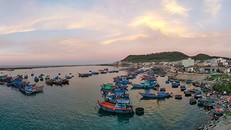 1 trong 3 khu mà Công ty Hào Hưng Quảng Ngãi xin làm dự án. Ảnh: Xuân Thọ 