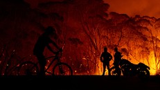 Cảnh sát Australia buộc tội 24 người gây hỏa hoạn