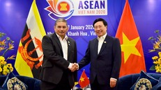 Phó Thủ tướng Phạm Bình Minh tiếp Bộ trưởng Ngoại giao Brunei Dato Erywan Pehin Yusof.