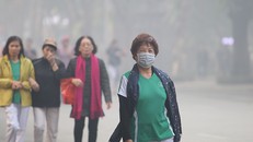 Tăng cường sức đề kháng, bảo vệ cơ thể từ bên trong