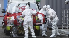 Hàn Quốc có thêm 248 ca nhiễm mới