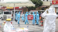 Bệnh nhân 262 mỗi ngày đi xe đưa đón nhân viên với 40 người