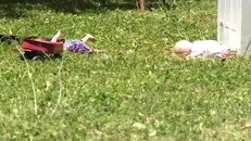 Nhặt được súng, bé trai 5 tuổi vô tình bắn chết anh trai 