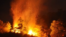 Đám cháy kéo dài tới rạng sáng 30/6. Ảnh: Dân trí