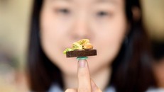 Báo Pháp khen nghệ nhân Việt Nam chế tác 'đồ ăn' tí hon