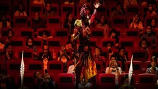 Hành trình gian nan của gánh xiếc giữa đại dịch