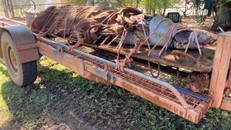 Phát hiện cá sấu dài hơn 4 m tại Úc