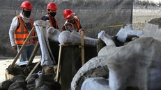 Nghĩa địa voi ma mút được khai quật tại sân bay của Mexico