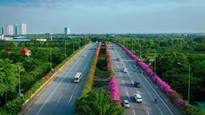 Check in 'sương sương' những cây cầu đẹp mê hồn tại Ecopark