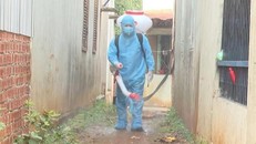 Quảng Ngãi: Trên 400 học sinh nghỉ học để phòng bệnh bạch hầu