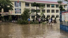 Đà Nẵng cho học sinh nghỉ học tránh báo Molave