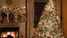 Nguồn gốc truyền thống trang trí cây thông dịp Giáng sinh