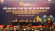 Khai mạc Diễn đàn Kinh tế hợp tác, hợp tác xã