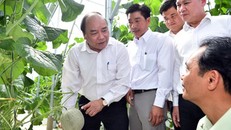 Những quyết định mạnh mẽ, sáng suốt và sự nhất quán của Chính phủ