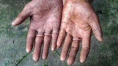 Gia đình không có dấu vân tay