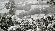 Vùng núi Bắc Bộ có băng giá trong đợt rét cuối năm