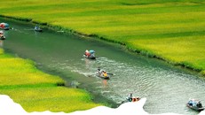 5 điểm vi vu đón Tết Tân Sửu quanh Hà Nội 