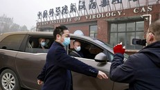 Chuyên gia WHO tới phòng thí nghiệm virus của Vũ Hán