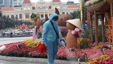 Không có ca mắc mới trong sáng mùng 1 Tết