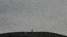 Nông dân Kenya hưởng lợi từ 'mưa' châu chấu'