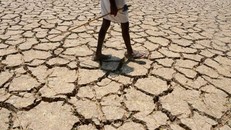 Nhiệt độ tại các vùng nhiệt đới đang vượt quá mức chịu đựng 