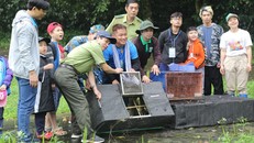 Tái thả 92 động vật hoang dã tại Vườn quốc gia Cúc Phương