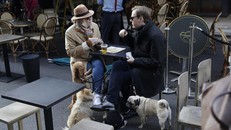 Biến thể COVID-19 ở Anh có thể bắt nguồn từ chó