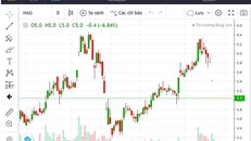 Cổ phiếu HAGL tiếp tục đi xuống thời gian gần đây.