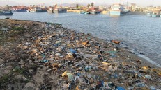 Nhiều vùng ven biển ở Ninh Thuận đứng trước nguy cơ bị ô nhiễm